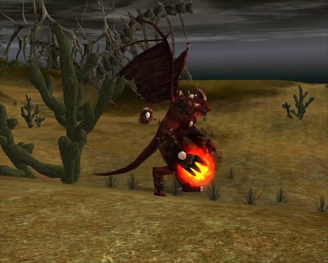 Shaiya00891.jpg Shaiya00891.jpg