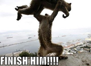 Mortal_kombat_monkeys.jpg Mortal_kombat_monkeys.jpg