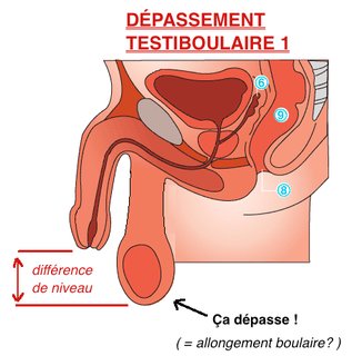 Cliquez sur l'image pour la voir en taille relle

Nom : Capture dcran 2013-08-25  15.10.05.png
Taille : 456x460
Poids : 73,7 Ko
ID : 202921