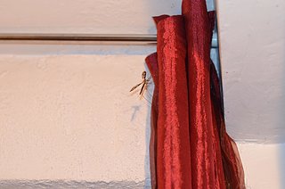 Cliquez sur l'image pour la voir en taille relle

Nom : 341006_4840726659388_711396932_o.jpg
Taille : 2048x1356
Poids : 164,2 Ko
ID : 174921