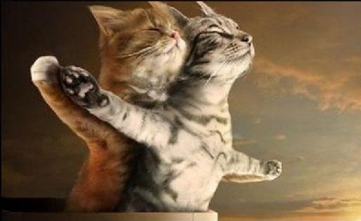 10-titanic-new-version-lolcats.jpg