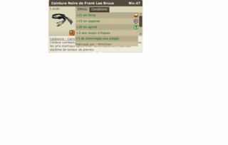 Cliquez sur l'image pour la voir en taille relle

Nom : Craft.gif
Taille : 959x610
Poids : 29,5 Ko
ID : 19631