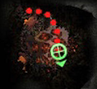 coop16-1.jpg coop16-1.jpg