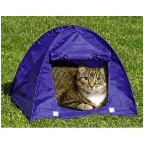 tente-pour-chat.jpg tente-pour-chat.jpg