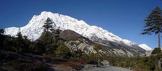 Cliquez sur l'image pour la voir en taille relle

Nom : pano-pisangtomanang.jpg
Taille : 1255x549
Poids : 125,6 Ko
ID : 83241