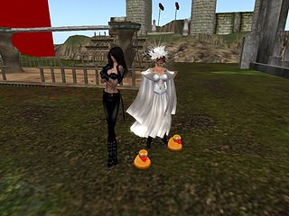 Cliquez sur l'image pour la voir en taille relle

Nom : canardballade.jpg
Taille : 800x600
Poids : 82,1 Ko
ID : 93551