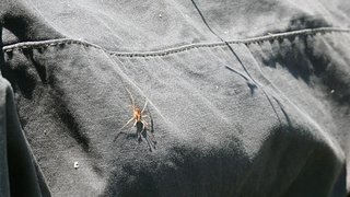 P1100563.jpg P1100563.jpg