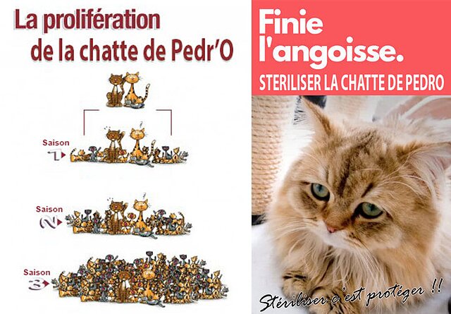 cof5.jpg