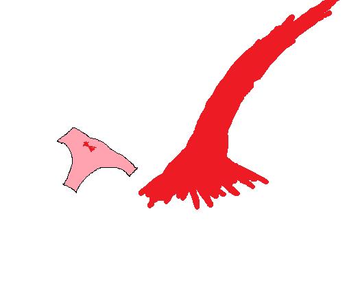 10319497197075_c18.jpg 10319497197075_c18.jpg