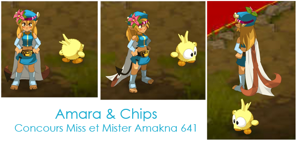 ama11010.png ama11010.png