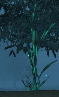 flora.png flora.png
