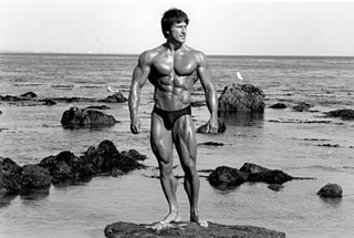 Cliquez sur l'image pour la voir en taille relle

Nom : frank-zane.jpg
Taille : 450x302
Poids : 40,0 Ko
ID : 351281