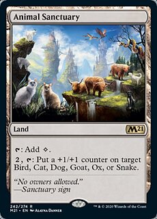 m21-242-animal-sanctuary.jpg