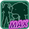 evolution_max.png