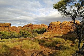 décor.jpg décor.jpg