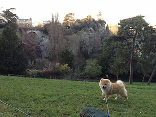 IMG_0847(2).jpg IMG_0847(2).jpg