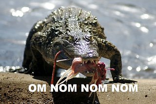 Cliquez sur l'image pour la voir en taille relle

Nom : om nom nom.jpg
Taille : 720x480
Poids : 153,5 Ko
ID : 106102
