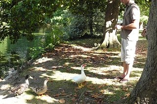 Cliquez sur l'image pour la voir en taille relle

Nom : canard patrouille.JPG
Taille : 1920x1280
Poids : 1,88 Mo
ID : 136602