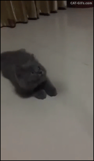 source.gif