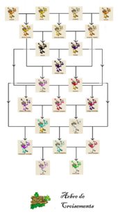 arbre_dindes.png arbre_dindes.png
