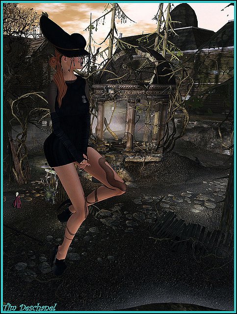 29689701823_d00863f162_c.jpg 29689701823_d00863f162_c.jpg