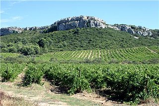 Cliquez sur l'image pour la voir en taille relle

Nom : 82_photo.jpg
Taille : 500x333
Poids : 48,0 Ko
ID : 83912