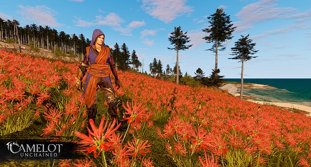 CU_image_tuatha_light_pine_1200-1.jpg CU_image_tuatha_light_pine_1200-1.jpg