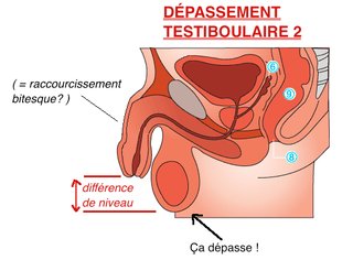 Cliquez sur l'image pour la voir en taille relle

Nom : Capture dcran 2013-08-25  15.10.14.png
Taille : 543x417
Poids : 74,4 Ko
ID : 202922