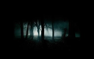 Cliquez sur l'image pour la voir en taille relle

Nom : DarkForest-1440_900.jpg
Taille : 1440x900
Poids : 40,6 Ko
ID : 69142