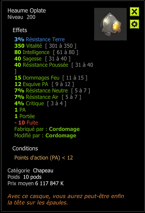heaume.png