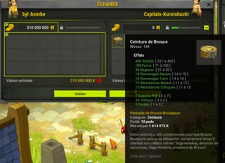 Vente centure brouce 210m.png