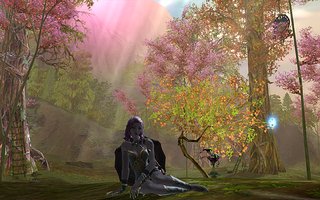 Aion0162.jpg Aion0162.jpg