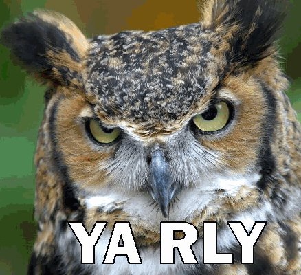ya_rly.jpg ya_rly.jpg
