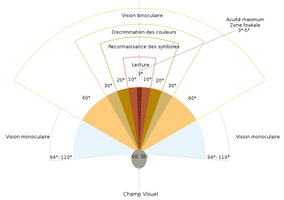 Cliquez sur l'image pour la voir en taille relle

Nom : champ-vision.png
Taille : 764x539
Poids : 15,7 Ko
ID : 739152