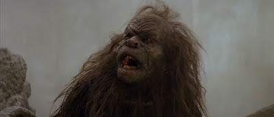 Willow_036.jpg Willow_036.jpg