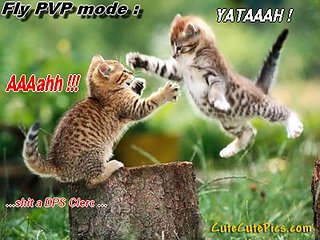 Cliquez sur l'image pour la voir en taille relle

Nom : cute-kittens-playing-outside.jpg
Taille : 400x300
Poids : 46,1 Ko
ID : 85572