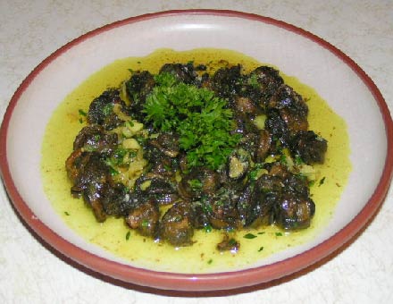 escargot.jpg escargot.jpg