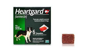 Heartgard-Dog-Image.jpg