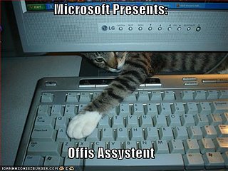 Cliquez sur l'image pour la voir en taille relle

Nom : funny-pictures-cat-keyboard-microsoft-assistant11.jpg
Taille : 500x375
Poids : 37,2 Ko
ID : 66882