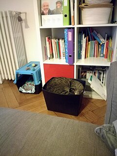 IMG_20191201_143422.jpg