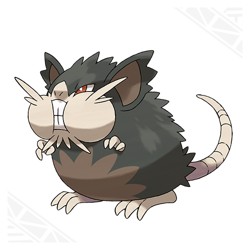 a-raticate.png