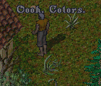 oohcolors.gif