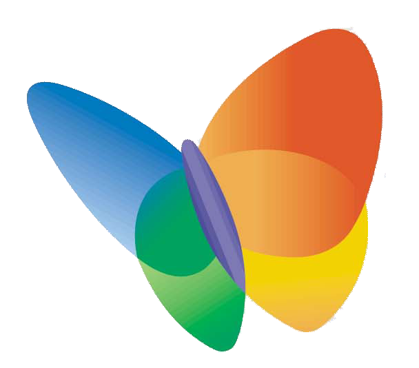 msn.png
