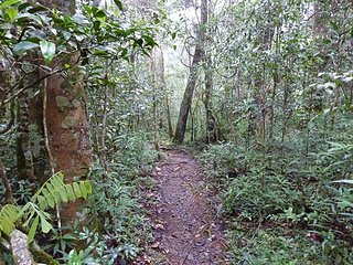 Cliquez sur l'image pour la voir en taille relle

Nom : foret-1.jpg
Taille : 640x480
Poids : 149,5 Ko
ID : 139792