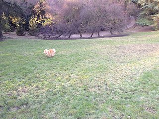 IMG_1055(2).jpg IMG_1055(2).jpg