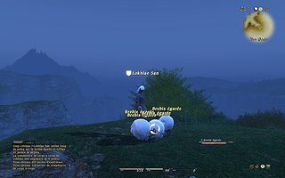ffjol11.jpg ffjol11.jpg