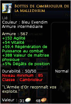 143174BottesdecambrioleurdelaMalledhrim.jpg 143174BottesdecambrioleurdelaMalledhrim.jpg