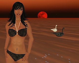 Cliquez sur l'image pour la voir en taille relle

Nom : Plage.JPG
Taille : 512x409
Poids : 114,7 Ko
ID : 13903