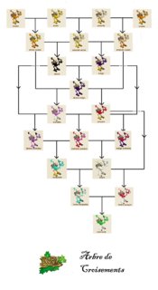 arbre_dindes_emeraude.png arbre_dindes_emeraude.png