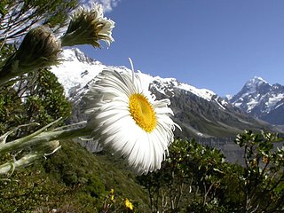 Cliquez sur l'image pour la voir en taille relle

Nom : val3.jpg
Taille : 700x525
Poids : 96,0 Ko
ID : 83413